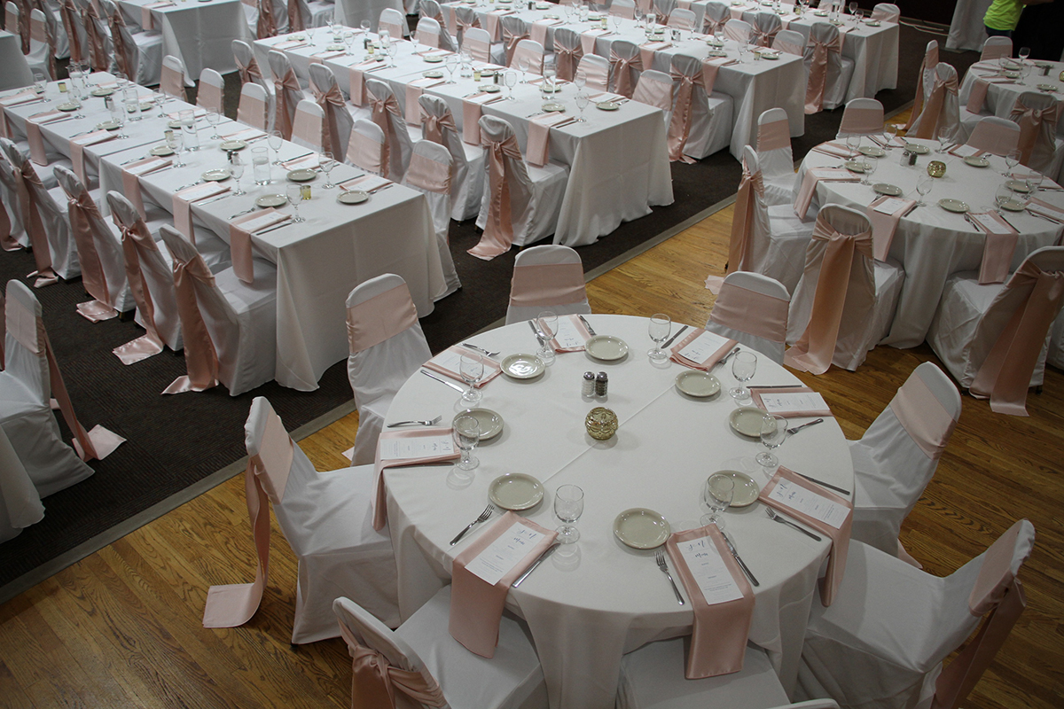 Napkins Satin Blush And Sashes Matte Satin Blush